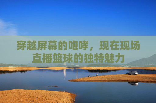 穿越屏幕的咆哮，现在现场直播篮球的独特魅力