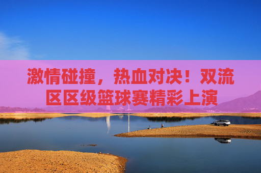 激情碰撞，热血对决！双流区区级篮球赛精彩上演