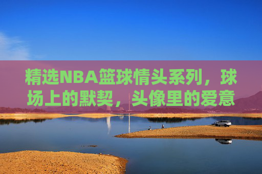 精选NBA篮球情头系列，球场上的默契，头像里的爱意