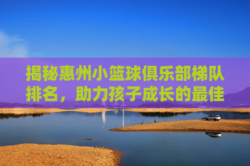 揭秘惠州小篮球俱乐部梯队排名，助力孩子成长的最佳选择