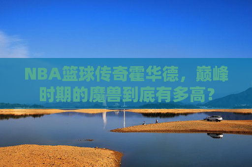 NBA篮球传奇霍华德，巅峰时期的魔兽到底有多高？