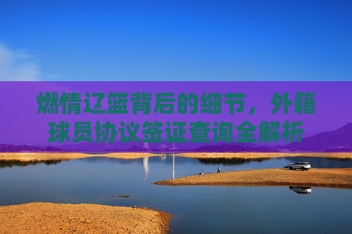 燃情辽篮背后的细节，外籍球员协议签证查询全解析