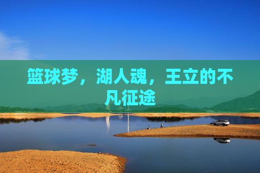 篮球梦，湖人魂，王立的不凡征途