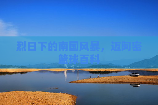 烈日下的南国风暴，迈阿密篮球百科