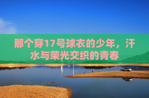 那个穿17号球衣的少年，汗水与荣光交织的青春