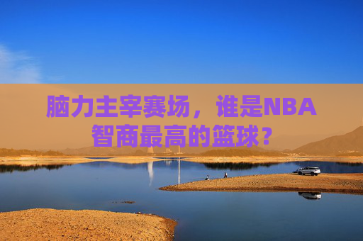 脑力主宰赛场，谁是NBA智商最高的篮球？
