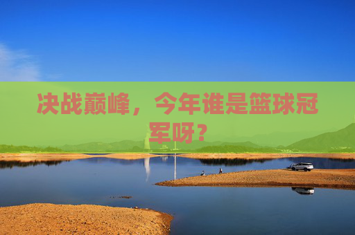 决战巅峰，今年谁是篮球冠军呀？
