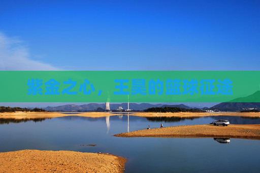 紫金之心，王昊的篮球征途