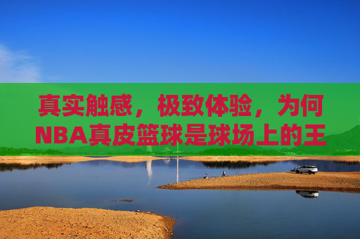 真实触感，极致体验，为何NBA真皮篮球是球场上的王者