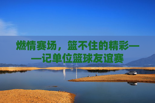 燃情赛场，篮不住的精彩——记单位篮球友谊赛