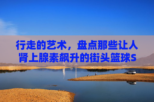 行走的艺术，盘点那些让人肾上腺素飙升的街头篮球SGA人视频