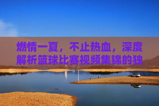 燃情一夏，不止热血，深度解析篮球比赛视频集锦的独特魅力