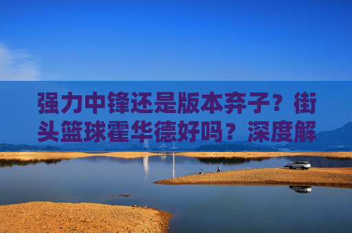 强力中锋还是版本弃子？街头篮球霍华德好吗？深度解析