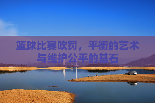 篮球比赛吹罚，平衡的艺术与维护公平的基石