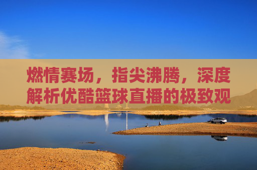 燃情赛场，指尖沸腾，深度解析优酷篮球直播的极致观赛体验