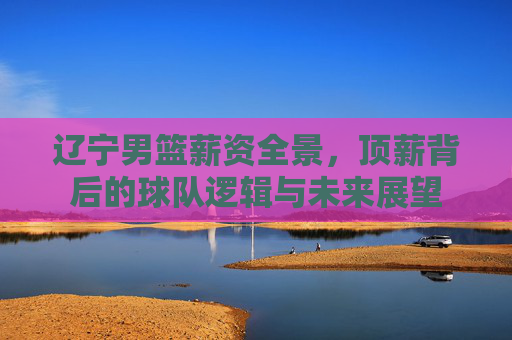 辽宁男篮薪资全景，顶薪背后的球队逻辑与未来展望