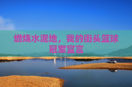 燃烧水泥地，我的街头篮球冠军宣言