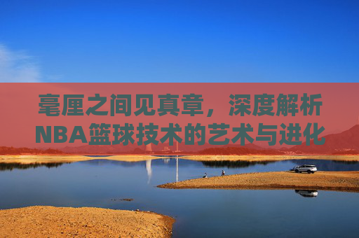 毫厘之间见真章，深度解析NBA篮球技术的艺术与进化