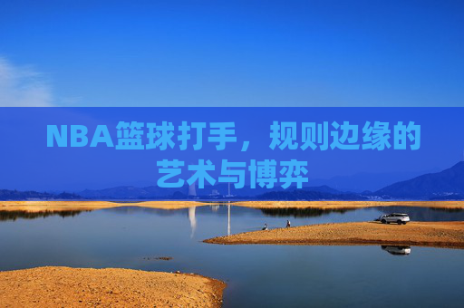 NBA篮球打手，规则边缘的艺术与博弈