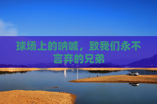 球场上的呐喊，致我们永不言弃的兄弟