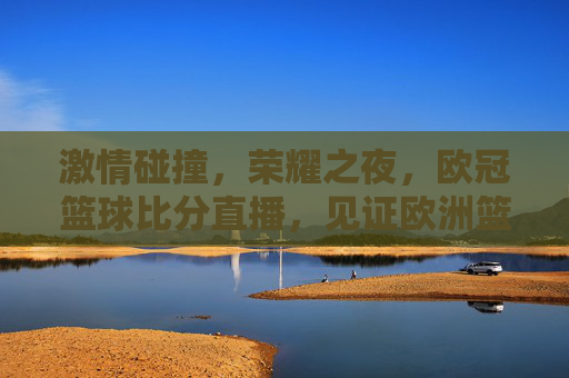 激情碰撞，荣耀之夜，欧冠篮球比分直播，见证欧洲篮球的最高舞台