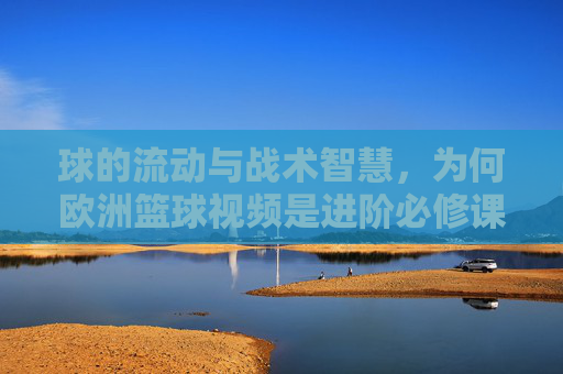 球的流动与战术智慧，为何欧洲篮球视频是进阶必修课