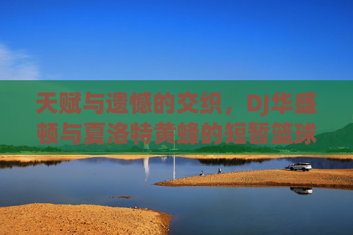 天赋与遗憾的交织，DJ华盛顿与夏洛特黄蜂的短暂篮球岁月