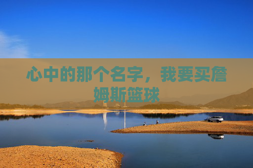心中的那个名字，我要买詹姆斯篮球