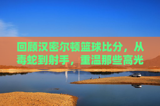回顾汉密尔顿篮球比分，从毒蛇到射手，重温那些高光时刻