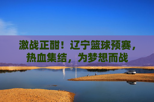 激战正酣！辽宁篮球预赛，热血集结，为梦想而战