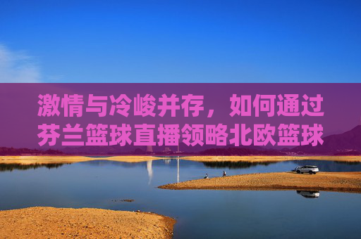 激情与冷峻并存，如何通过芬兰篮球直播领略北欧篮球的独特魅力
