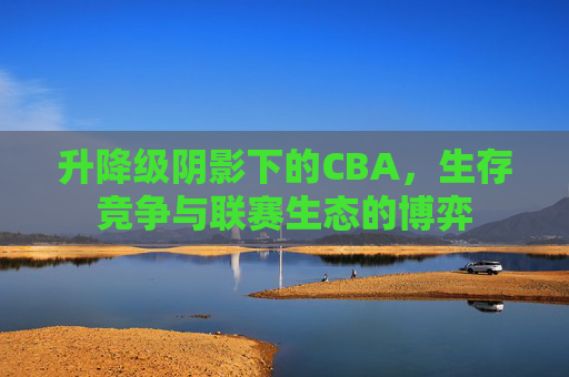 升降级阴影下的CBA，生存竞争与联赛生态的博弈