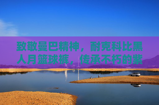 致敬曼巴精神，耐克科比黑人月篮球裤，传承不朽的紫金荣光