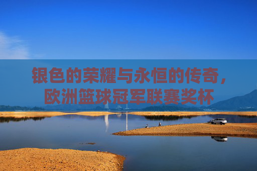 银色的荣耀与永恒的传奇，欧洲篮球冠军联赛奖杯