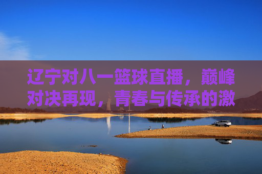 辽宁对八一篮球直播，巅峰对决再现，青春与传承的激情碰撞