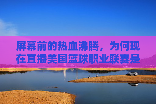 屏幕前的热血沸腾，为何现在直播美国篮球职业联赛是篮球迷的终极盛宴