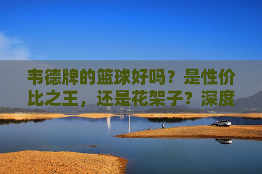 韦德牌的篮球好吗？是性价比之王，还是花架子？深度测评告诉你