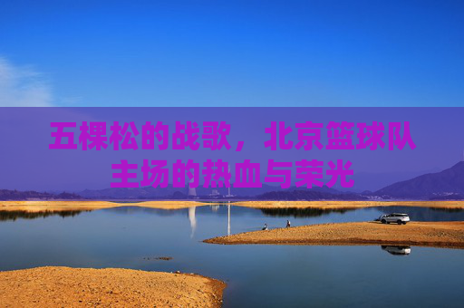 五棵松的战歌，北京篮球队主场的热血与荣光
