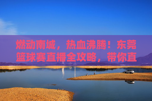 燃动南城,热血沸腾!东莞篮球赛直播全攻略,带你直击每一个精彩瞬间