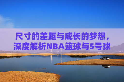 尺寸的差距与成长的梦想，深度解析NBA篮球与5号球