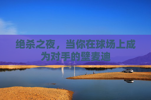 绝杀之夜,当你在球场上成为对手的壁麦迪