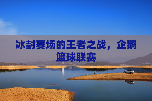 冰封赛场的王者之战，企鹅篮球联赛