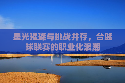 星光璀璨与挑战并存，台篮球联赛的职业化浪潮