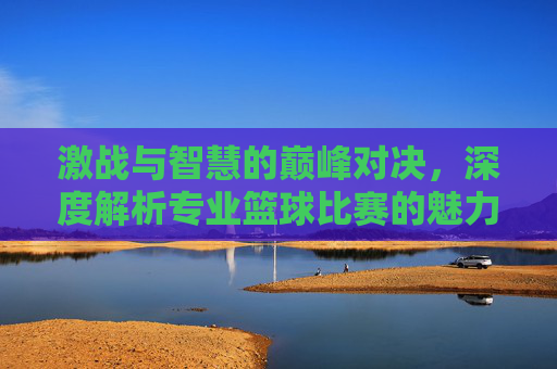 激战与智慧的巅峰对决，深度解析专业篮球比赛的魅力与竞技
