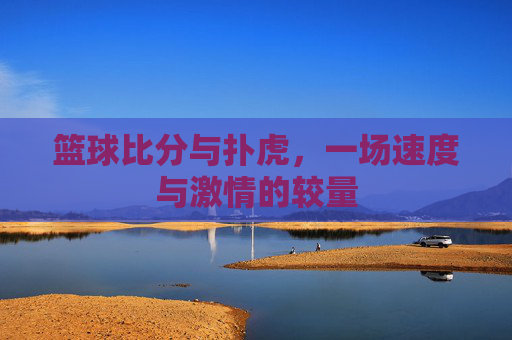篮球比分与扑虎,一场速度与激情的较量