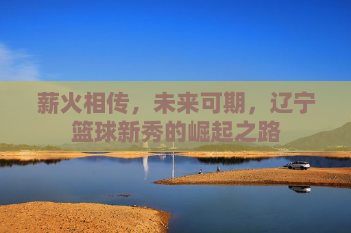 薪火相传,未来可期,辽宁篮球新秀的崛起之路