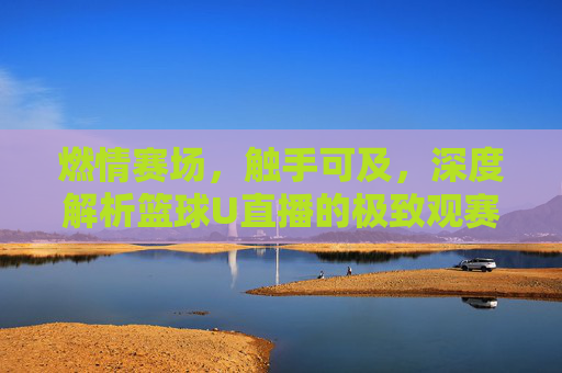 燃情赛场，触手可及，深度解析篮球U直播的极致观赛体验
