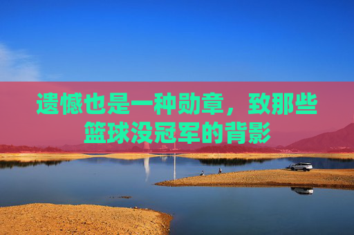 遗憾也是一种勋章，致那些篮球没冠军的背影