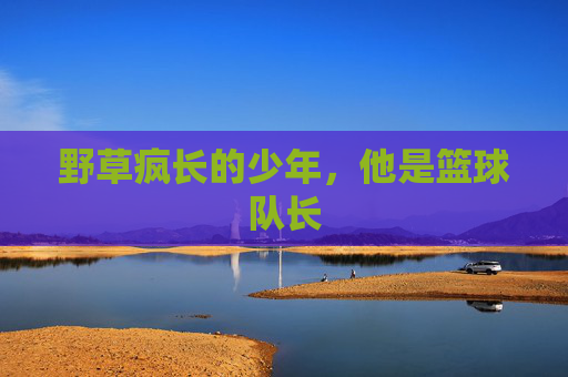 野草疯长的少年，他是篮球队长