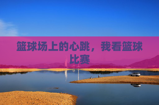 篮球场上的心跳，我看篮球比赛